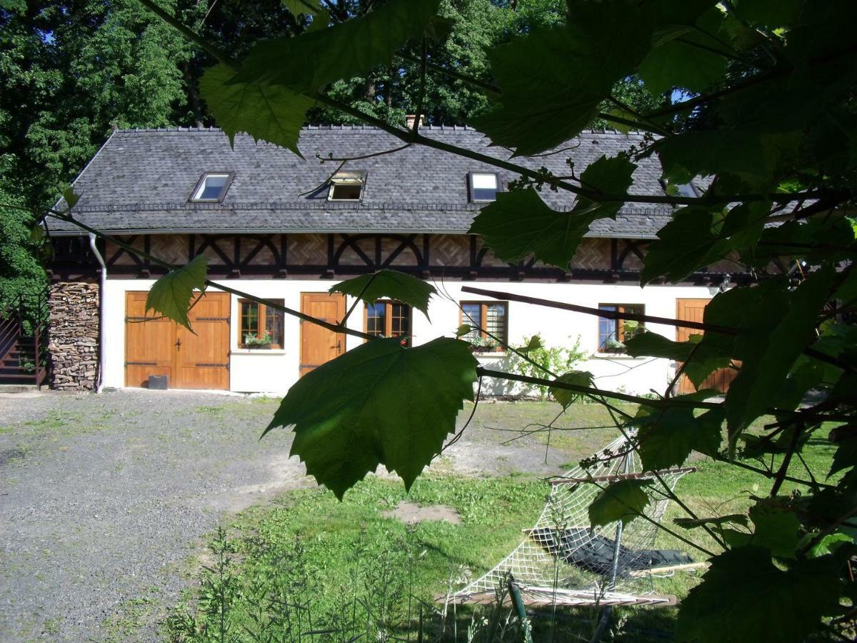Dom Goscinny Leniuchy Leśna Exteriér fotografie